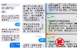 漯河为什么选择专业追讨公司来处理您的债务纠纷？